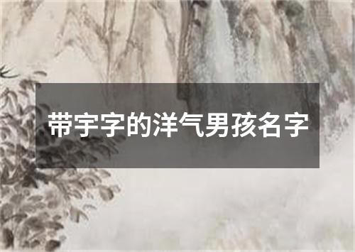 带宇字的洋气男孩名字