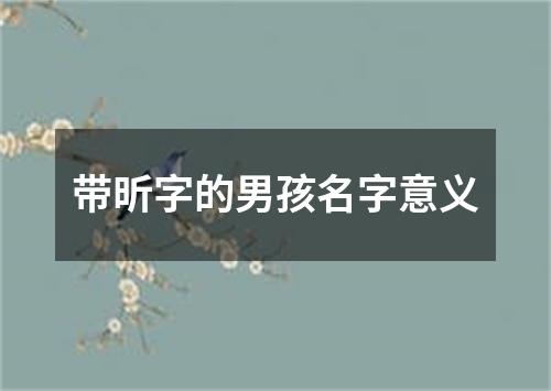 带昕字的男孩名字意义