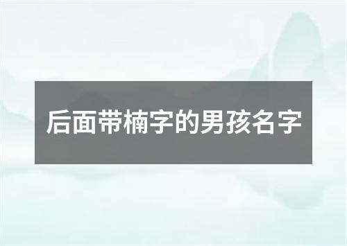 后面带楠字的男孩名字