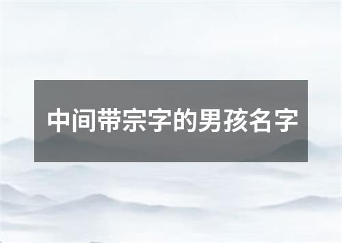 中间带宗字的男孩名字