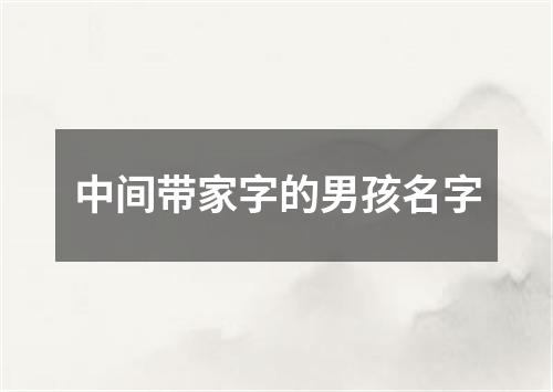 中间带家字的男孩名字