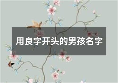 用良字开头的男孩名字