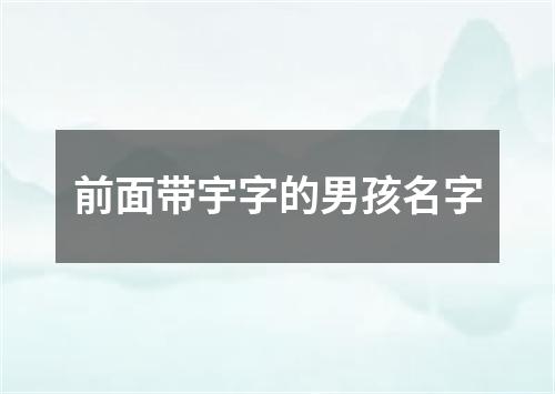 前面带宇字的男孩名字