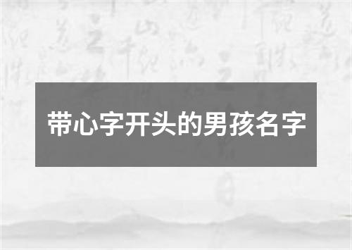 带心字开头的男孩名字