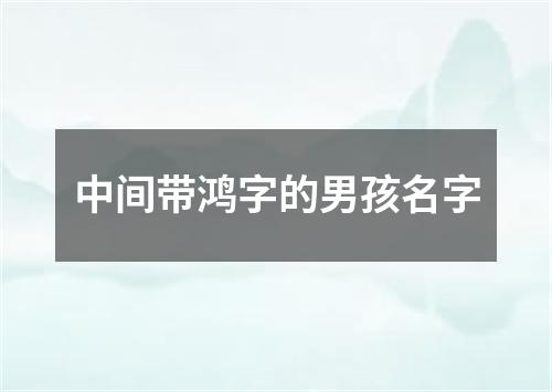 中间带鸿字的男孩名字