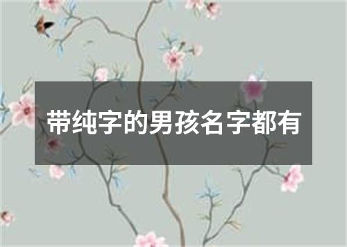 带纯字的男孩名字都有