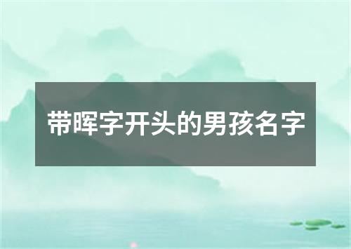 带晖字开头的男孩名字