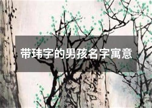 带玮字的男孩名字寓意