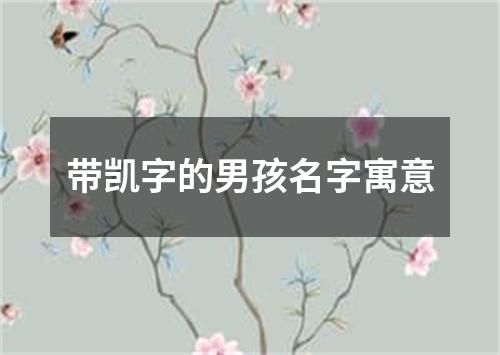 带凯字的男孩名字寓意