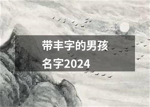 带丰字的男孩名字2024