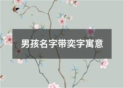 男孩名字带奕字寓意