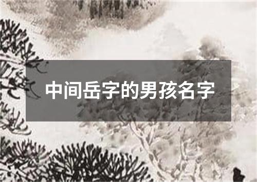 中间岳字的男孩名字