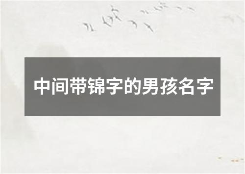 中间带锦字的男孩名字