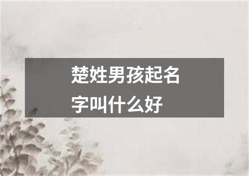 楚姓男孩起名字叫什么好