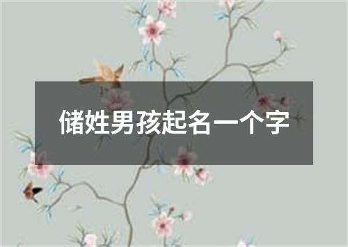 储姓男孩起名一个字