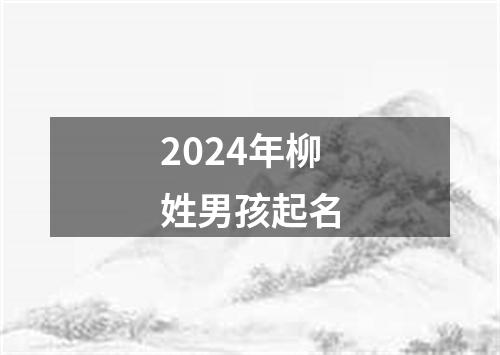 2024年柳姓男孩起名