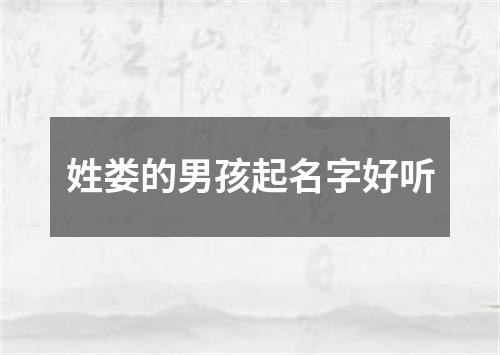 姓娄的男孩起名字好听