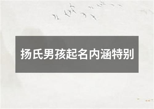 扬氏男孩起名内涵特别