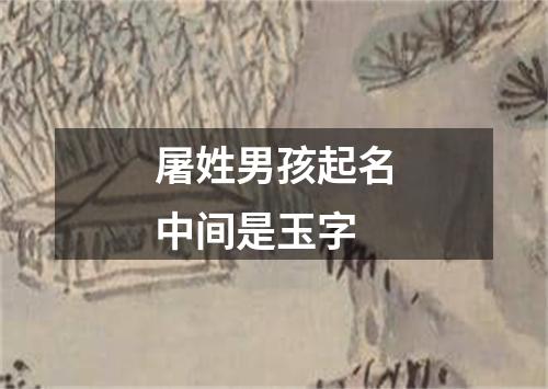 屠姓男孩起名中间是玉字