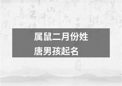 属鼠二月份姓唐男孩起名