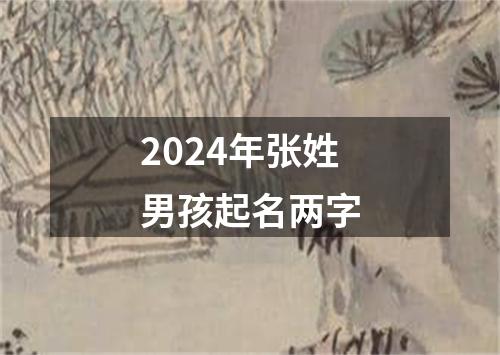 2024年张姓男孩起名两字