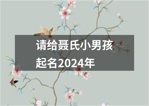 请给聂氏小男孩起名2024年