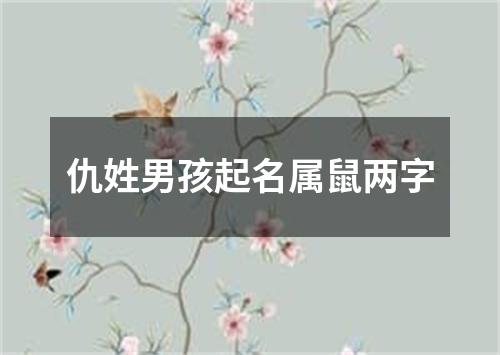 仇姓男孩起名属鼠两字