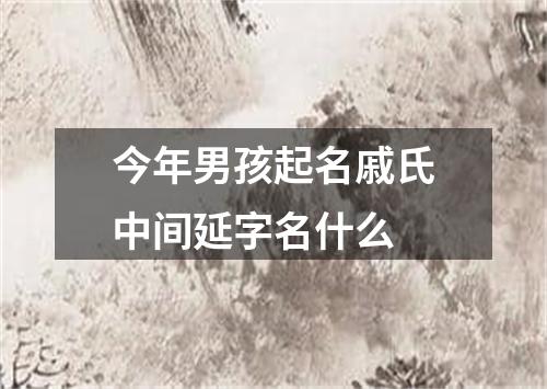 今年男孩起名戚氏中间延字名什么