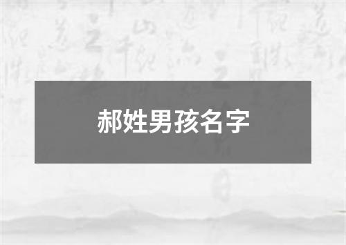 郝姓男孩名字