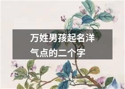 万姓男孩起名洋气点的二个字