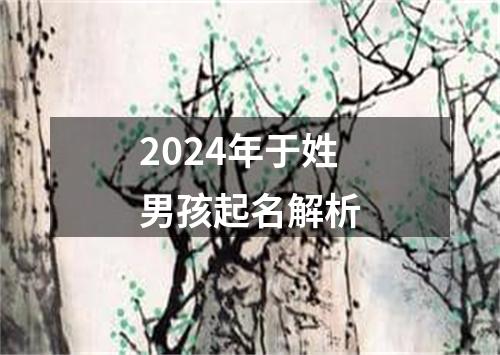 2024年于姓男孩起名解析