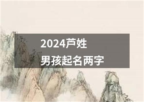 2024芦姓男孩起名两字