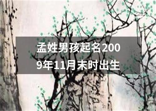 孟姓男孩起名2009年11月末时出生