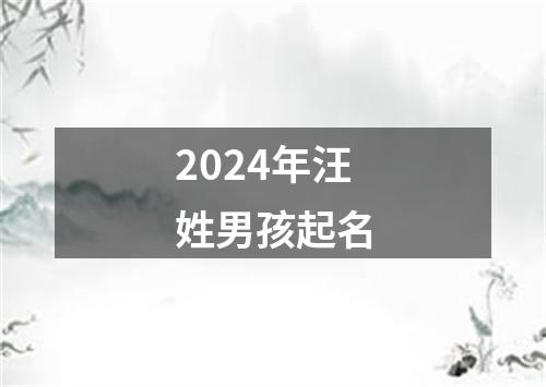 2024年汪姓男孩起名