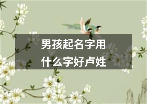 男孩起名字用什么字好卢姓