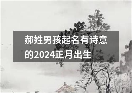 郝姓男孩起名有诗意的2024正月出生