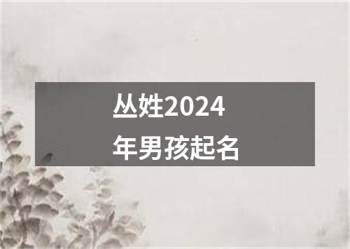 丛姓2024年男孩起名