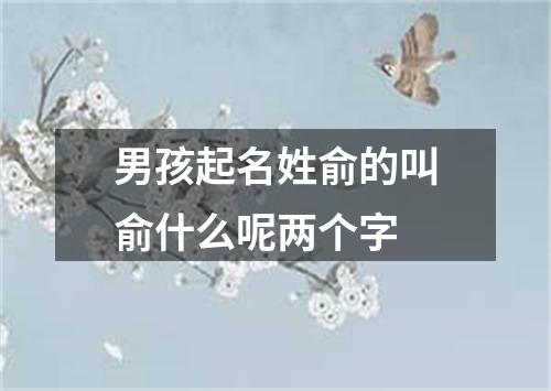 男孩起名姓俞的叫俞什么呢两个字