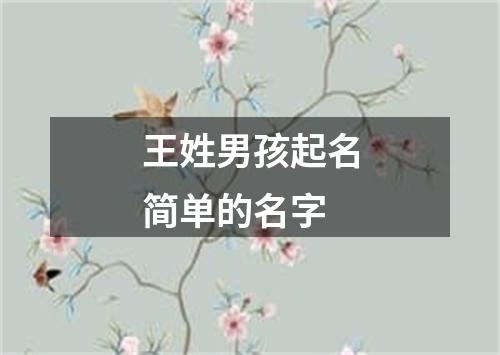 王姓男孩起名简单的名字