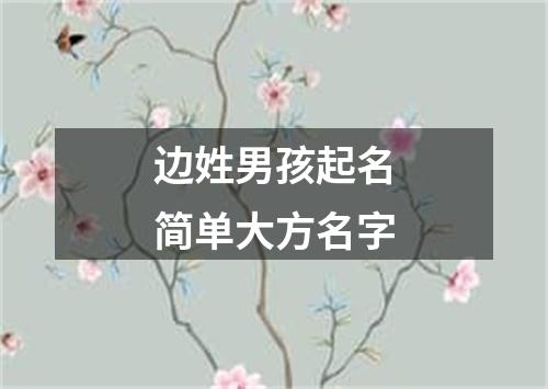 边姓男孩起名简单大方名字