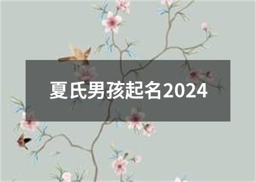 夏氏男孩起名2024