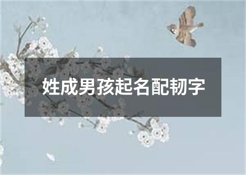 姓成男孩起名配韧字