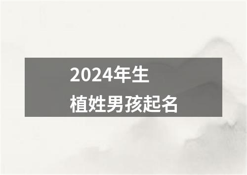 2024年生植姓男孩起名