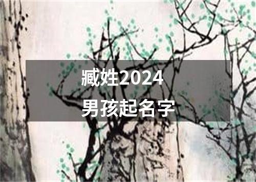 臧姓2024男孩起名字