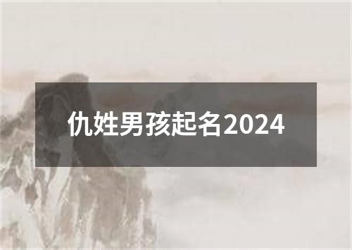 仇姓男孩起名2024