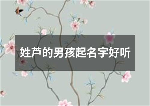 姓芦的男孩起名字好听