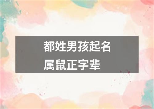 都姓男孩起名属鼠正字辈