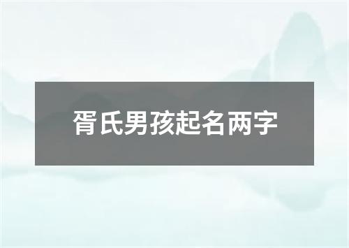 胥氏男孩起名两字