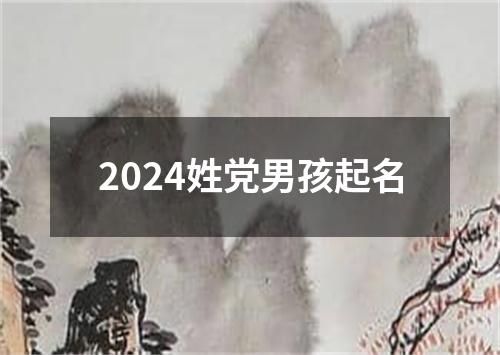 2024姓党男孩起名