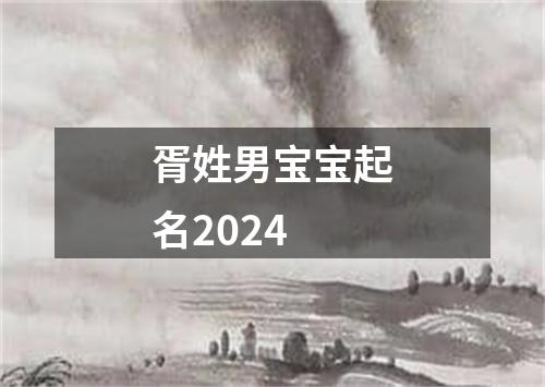 胥姓男宝宝起名2024